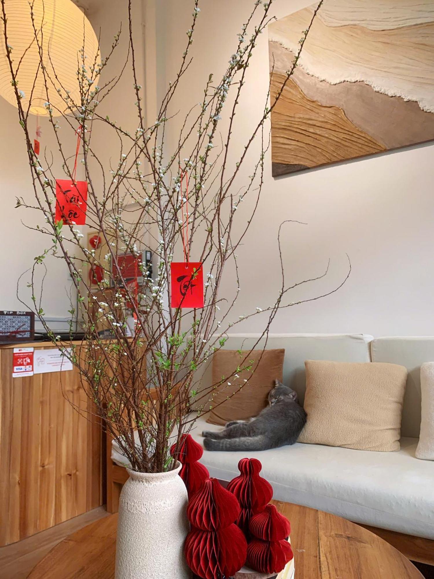 Glory Hue Homestay Ngoại thất bức ảnh