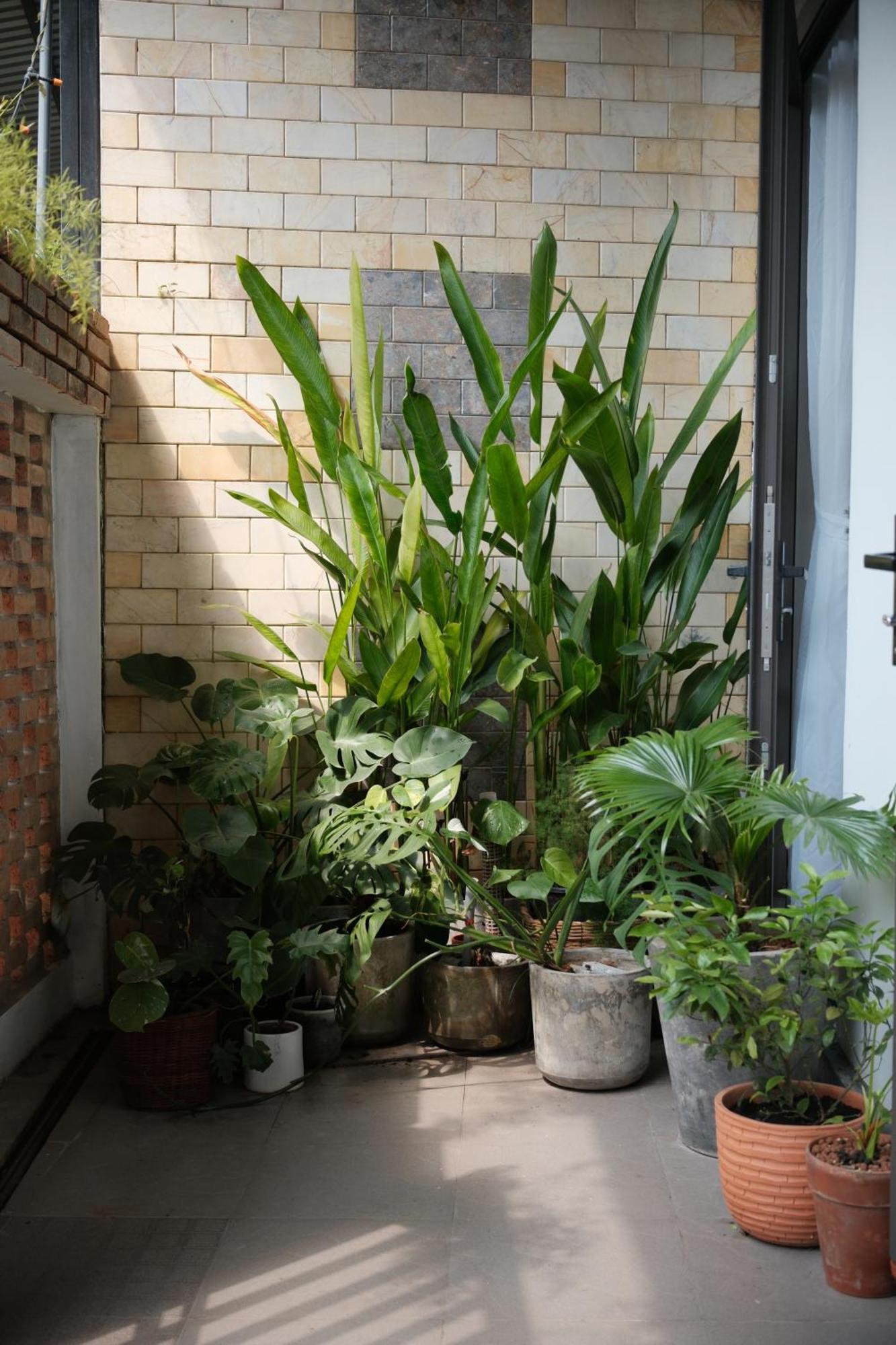 Glory Hue Homestay Ngoại thất bức ảnh