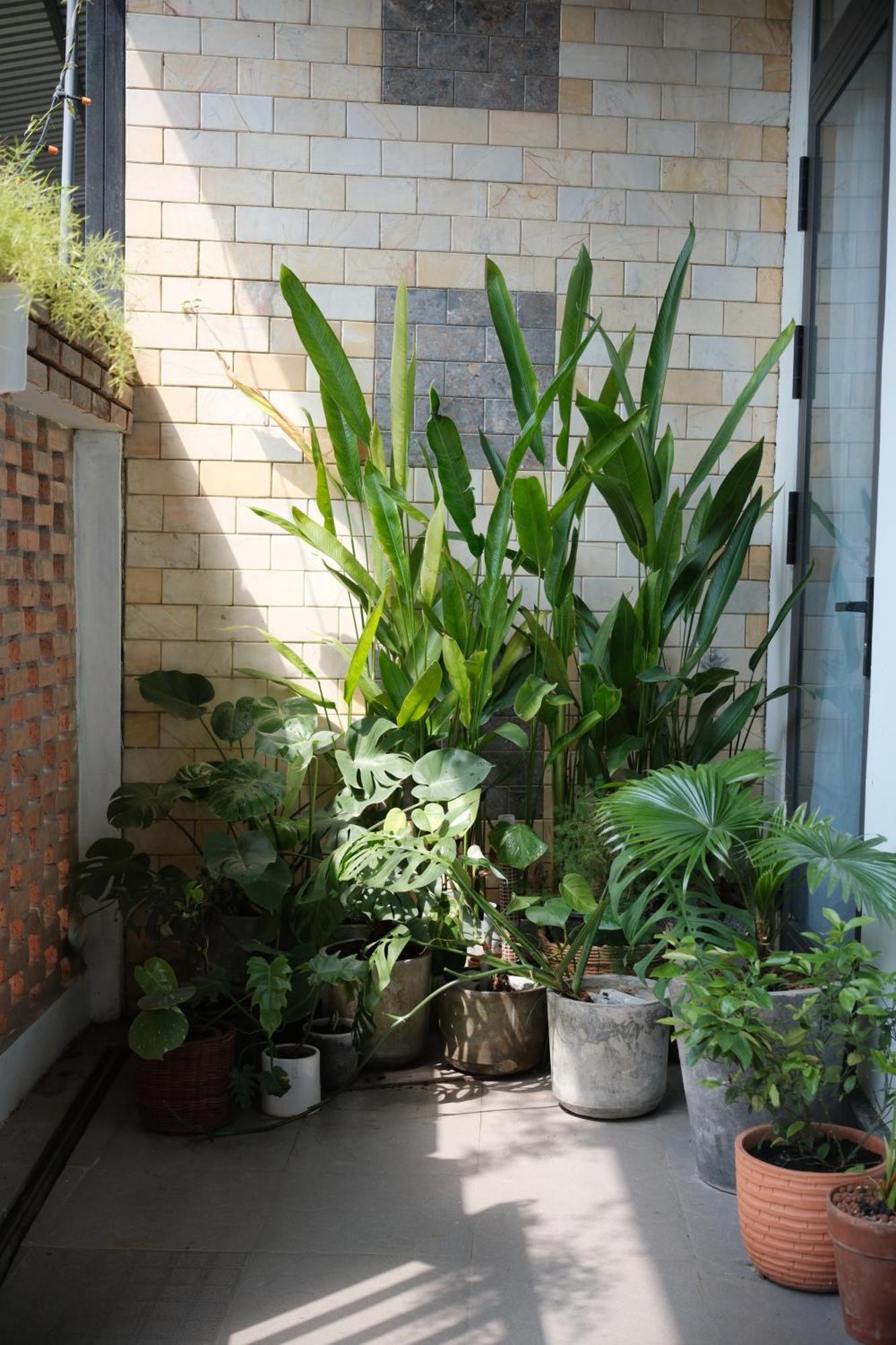 Glory Hue Homestay Ngoại thất bức ảnh