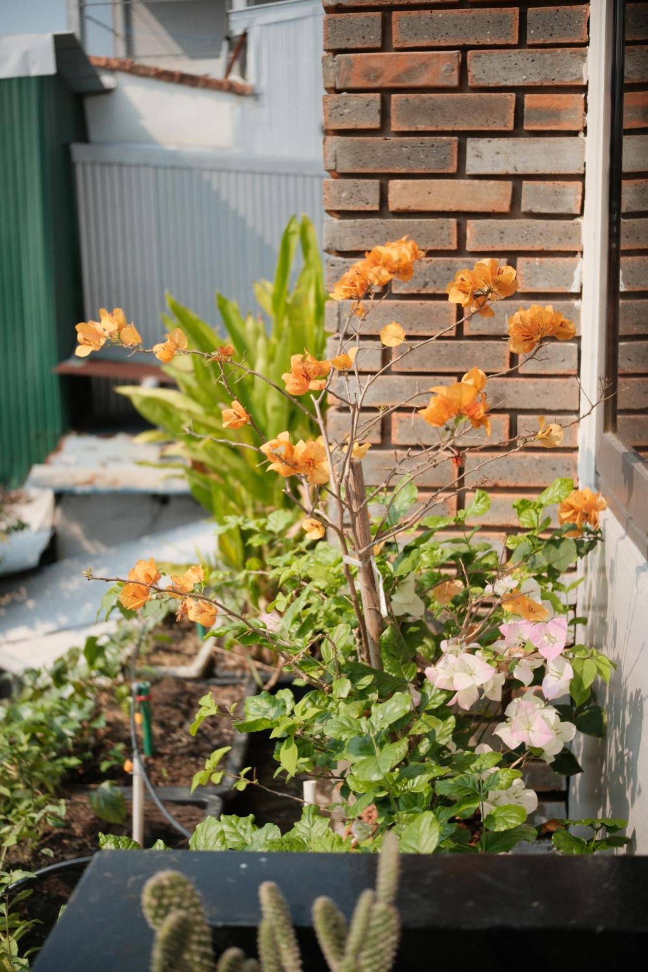 Glory Hue Homestay Ngoại thất bức ảnh